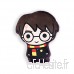 Harry Potter Home - Linge de Maison  Multicore  35.5 x 29.5cm - B07G1XGHQ4